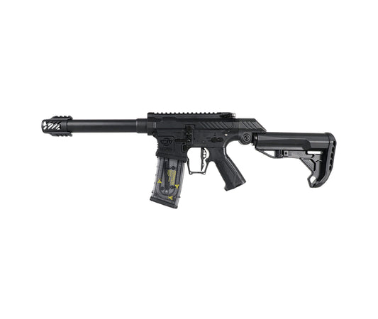 EGC-SSG-001-BNB-ECM - SSG1