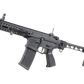 EGC-FAR-556-BNB-NCM - FAR 556